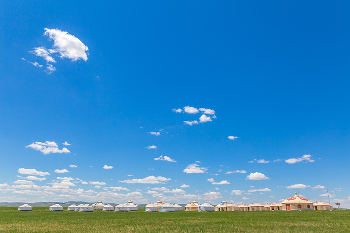 制作奶豆腐,剪羊毛,追赶羊群,享受草原闲暇时光,做一天蒙古人