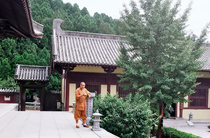神通寺遗址是山东地区最早的一座寺院遗址,是山东佛教的大本山.