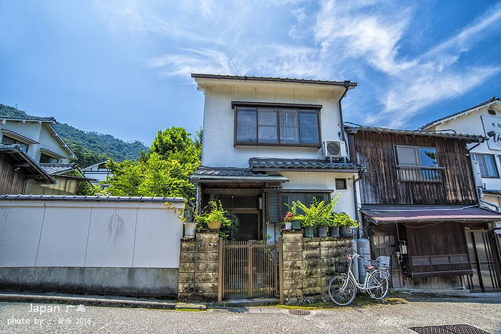 在神社后面还有几条居民区的街道都是些典些的二层小楼日式建筑都种满