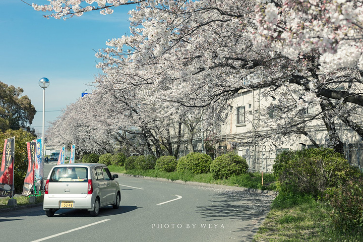 2019福冈住宿攻略,重庆交通/游玩/美食/攻略/购福冈到三峡汉中自驾游行程图片