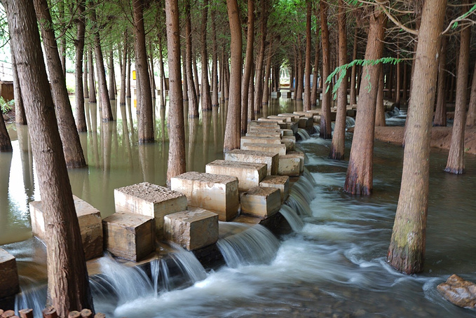 捞鱼河湿地公园图片