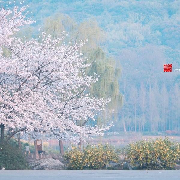 2019鼋头渚门票,无锡鼋头渚游玩恋情,鼋头渚游70年攻略的攻略图片
