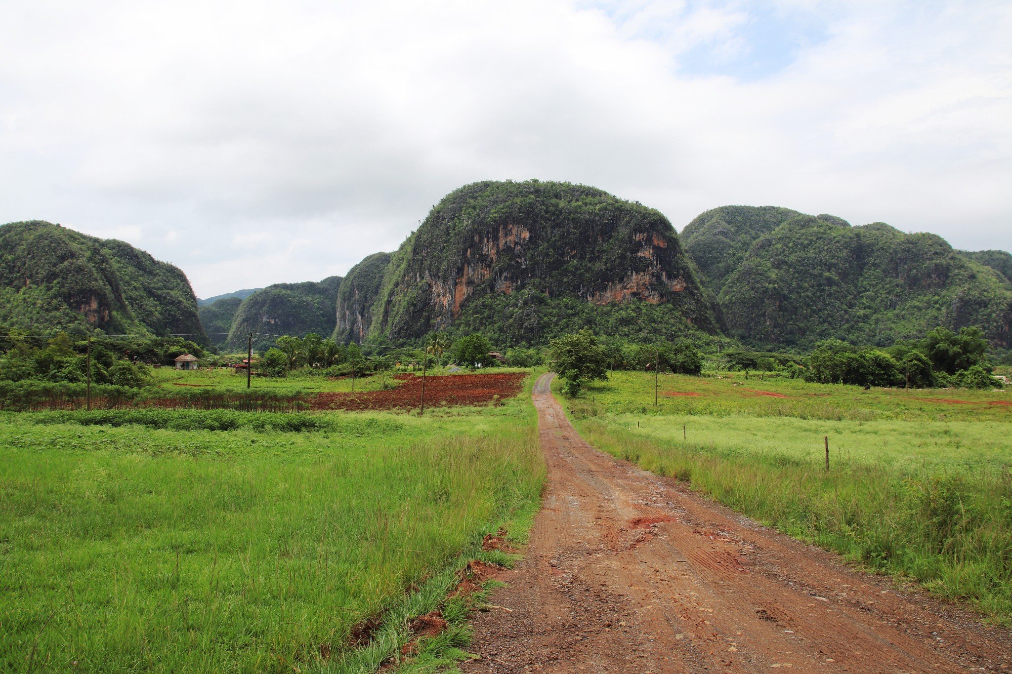 同一个团队的德国人就在一日游结束后留在了vinales,准备在徒步小山谷