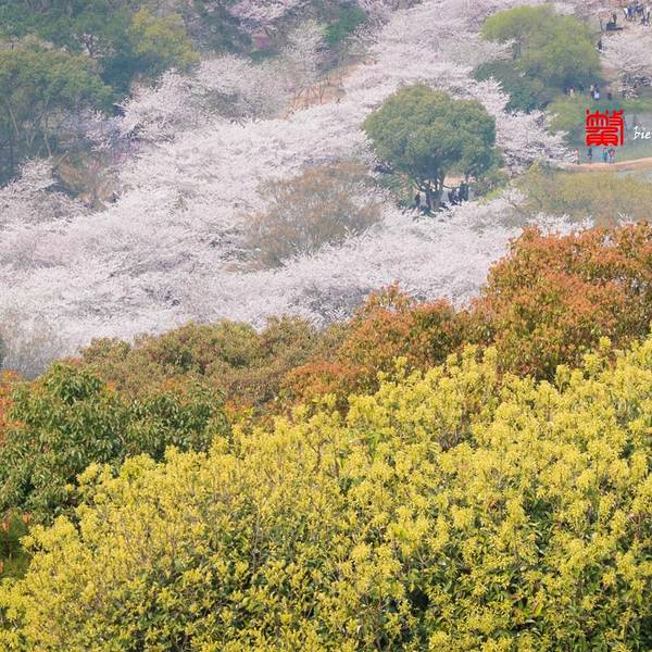 2019鼋头渚攻略,无锡鼋头渚游玩门票,鼋头渚游paperman游戏攻略图片