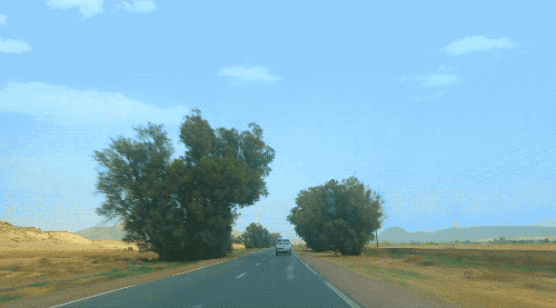 摩洛哥 始于红色之城的两千公里(环形自驾全攻略·附视频)