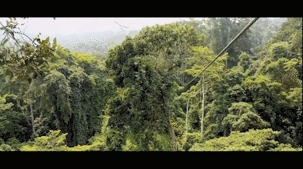 《说走就走的温暖》泰国曼芭野行 有一个电影梦的旅行青年  人猿泰山