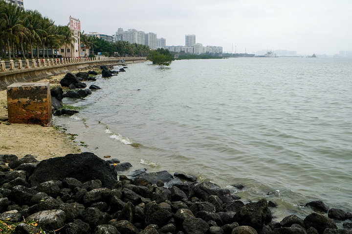 一条在赤坎湾海滨上,是由湛江市政府投资建设的滨海带状海滨公园