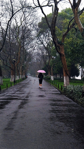 这个女士还是挺着肚子一个人在雨中漫步