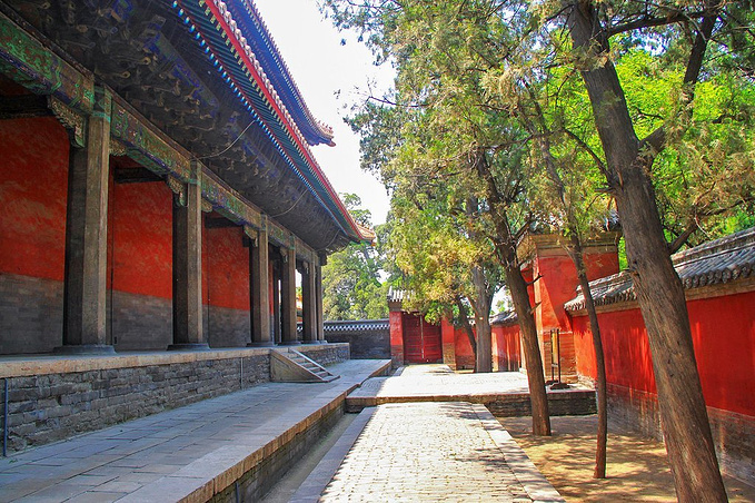 曲阜孔庙,孔林和孔府图片