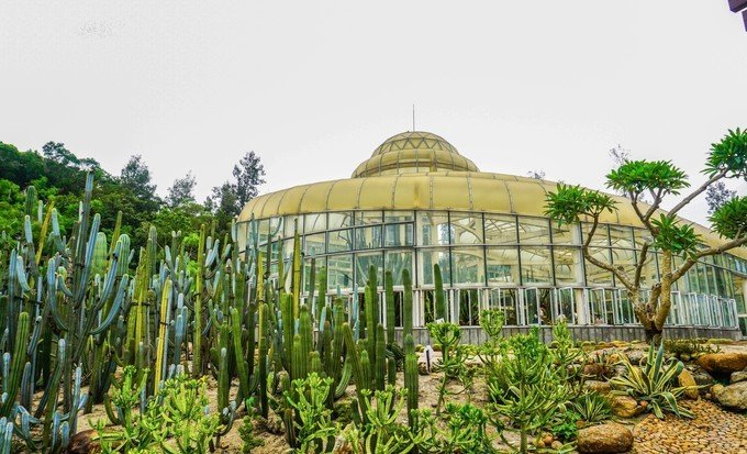 万石植物园图片