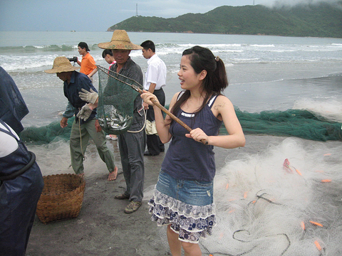 下川岛,点评\/门票\/地址\/旅游景点介绍