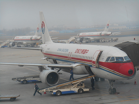 2015青岛流亭国际机场_旅游攻略_门票_地址_