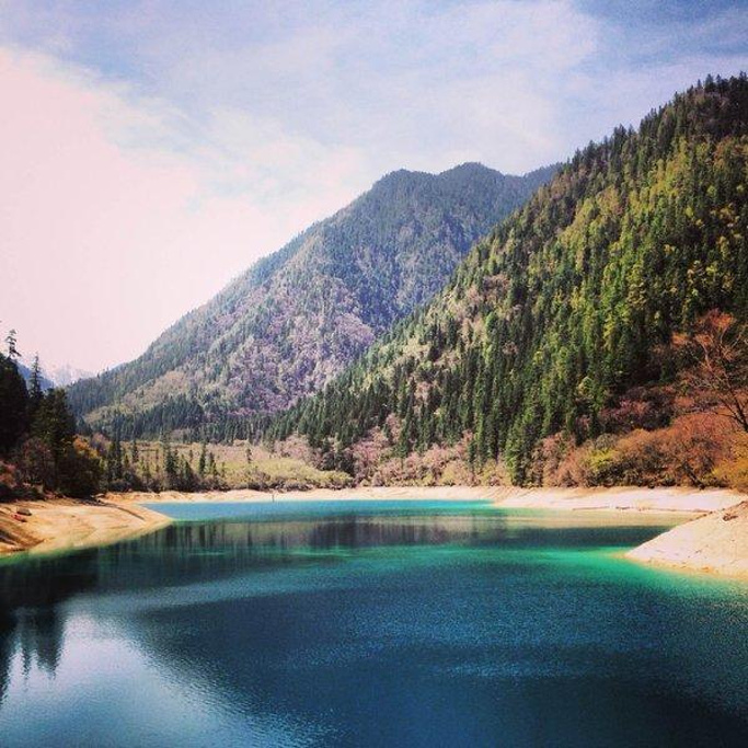 2015不过很多那个啥 XX鱼_熊猫海评论 - 去哪