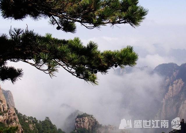 九华山是我国著名的四大佛教名山之一,是著名的地藏菩萨道场。景色秀丽,古刹林立,香火旺盛,宗教文化与山水文化相融,大量的历史人文活动,使九华山成为一座历史悠久、积淀丰厚的文化名山。他以佛教文化和奇丽的自然景观为特色,是游览观赏和开展科学文化活动的山岳型国家重点风景名胜区。长期以来,灵山、圣地、自然、人文相互交融,在这块佛地净土上,演绎出诸多的奇闻、奇观、奇事,从而使地藏菩萨道场神光异彩,佛教文化特色鲜明。 九华山风景区是全国著名游览避暑胜地,景区内古刹林立,香烟缭绕,是善男信女朝拜的圣地;九华山风光旖旎,气