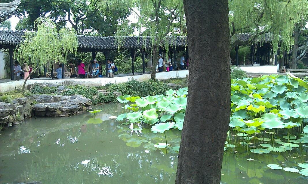 拙政园(The Humble Administrator Garden)的评
