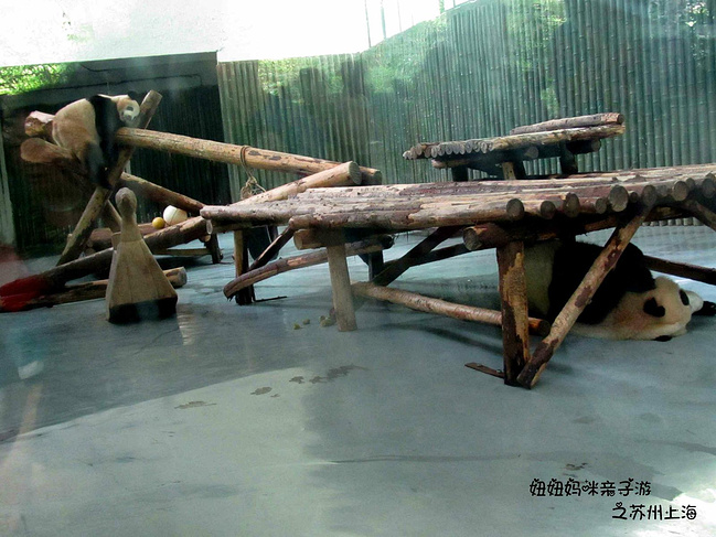 妞妞妈咪亲子游之苏州、上海_苏州旅游攻略_