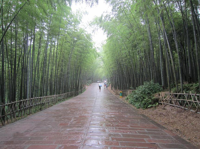 双人 九寨沟-宜宾-成都 自助游_阿坝旅游攻略