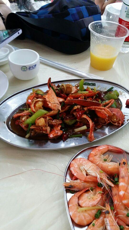 三亚南京一周游_三亚旅游攻略_自助游攻略_去海口二天自助游攻略图片