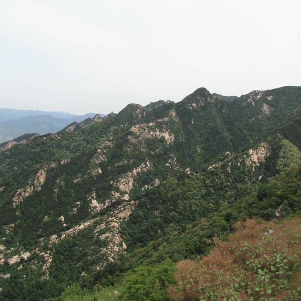 2018王顺山_旅游游记_攻略_攻略_门票点评,蓝南麂列岛旅游地址图片