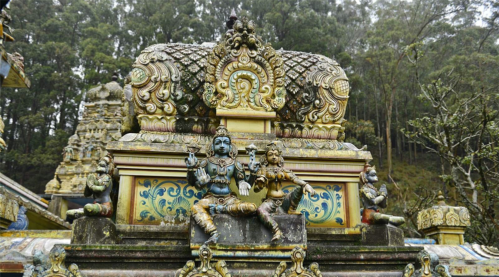 加勒、科伦坡、康提7日游_努瓦勒埃利耶旅游