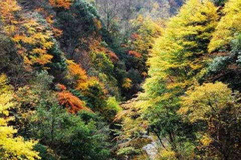 2014广元旅游景点大全,广元旅游必去景点,广元