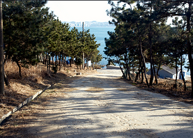 大都市自然公园