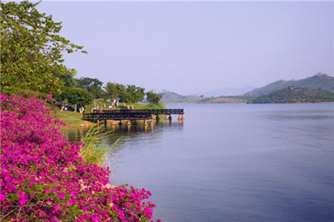 2014松山湖景区_旅游攻略_门票_地址_游记点评,东莞旅游景点推荐 - 去哪儿攻略社区