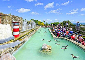 海景野生动物乐园