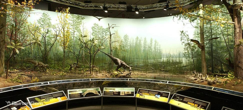 2015弗恩班克自然历史博物馆_旅游攻略_门票