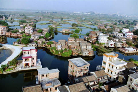 2014古劳水乡_旅游攻略_门票_地址_游记点评