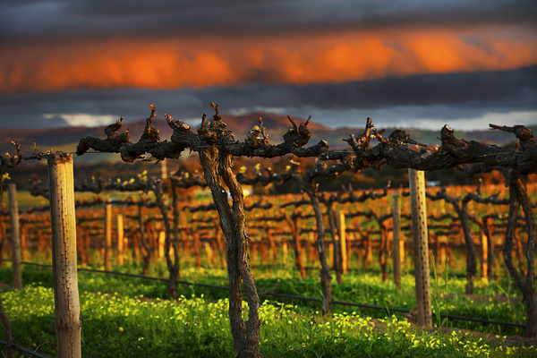 2014南澳大利亚州旅游景点大全,南澳大利亚州