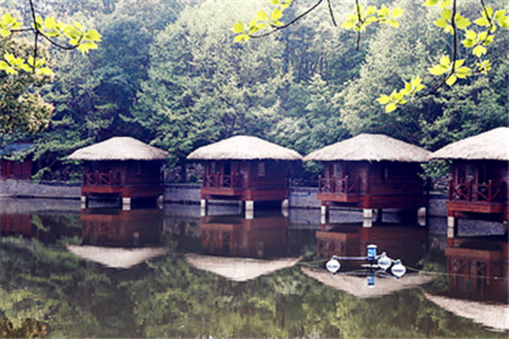 九岭森林温泉旅游景点图片