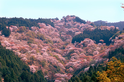 吉野山