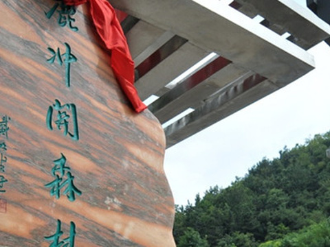 2020鹿冲关森林公园-旅游攻略-门票-地址-问答-游记点评,贵阳旅游旅游