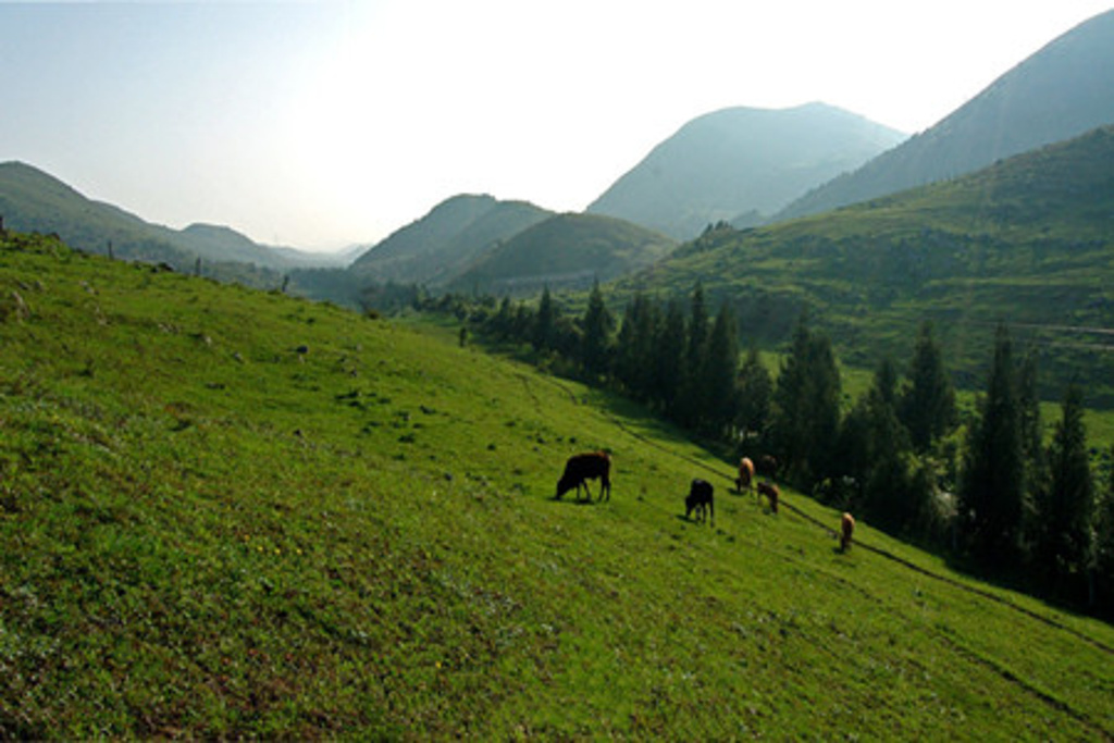 齐岳山旅游景点图片