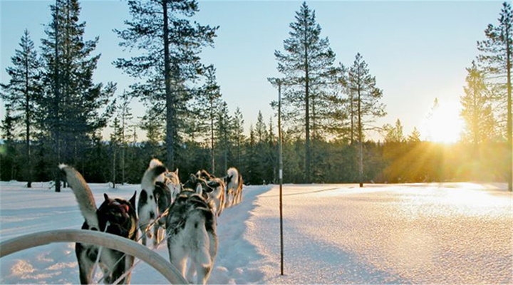 2014拉普兰旅游景点大全,拉普兰旅游攻略,拉普