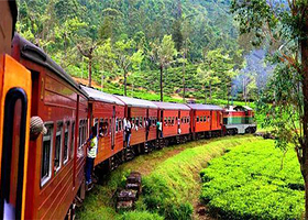 茶园火车