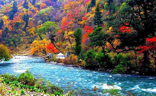 2015四川旅游注意事项,四川旅游指南,四川自助游指南,游玩四川攻略指南 - 去哪儿攻略社区