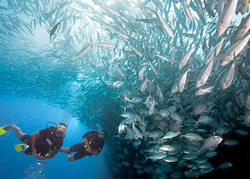 芭雅岛浮潜配套
