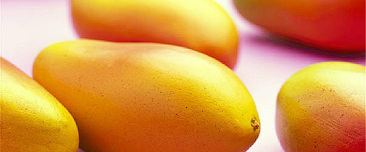 深圳-西丽芒果-去哪儿网旅游攻略