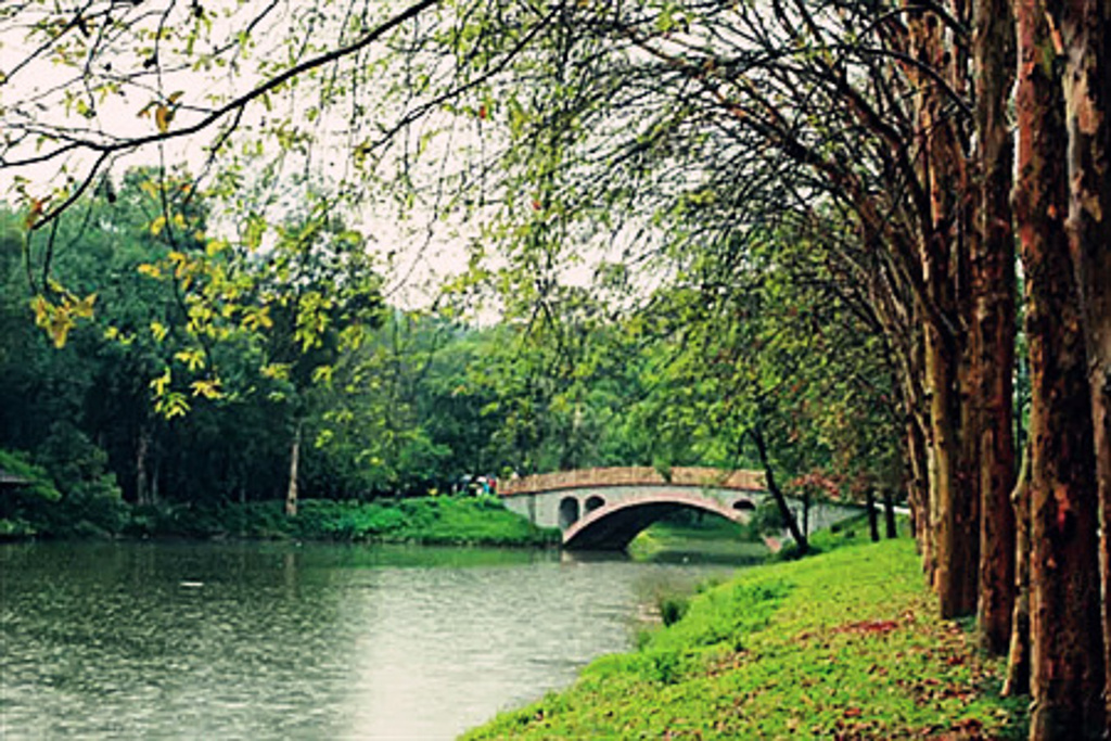 2015华南植物园_旅游攻略_门票_地址_游记点