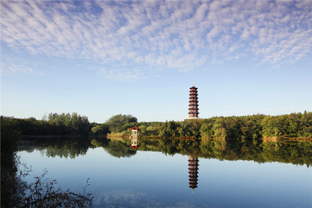 美丽的花园简笔画