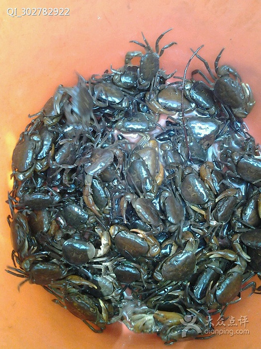 2015神仙谷餐厅_旅游攻略_门票_地址_游记点