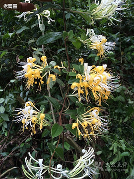 2016邱环凉茶店_旅游攻略_门票_地址_游记点