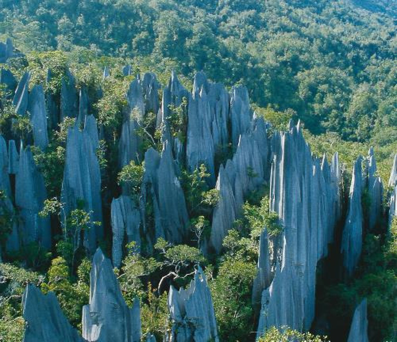 2015Planet Borneo Tours and Travel Services 