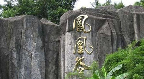 2019凤凰谷鸟园门票,南投凤凰谷鸟园游玩攻略,凤凰谷