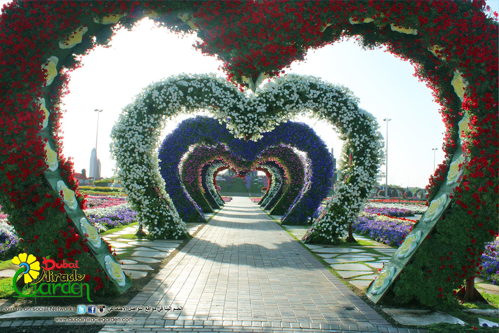 2015迪拜奇迹花园_旅游攻略_门票_地址_游记点评,迪拜旅游景点推荐 - 去哪儿攻略社区