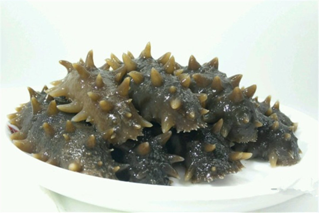 2015名域海参_旅游攻略_门票_地址_游记点评