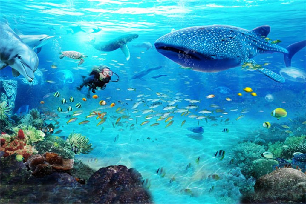 2016珠海长隆海洋王国_旅游攻略_门票_地址_