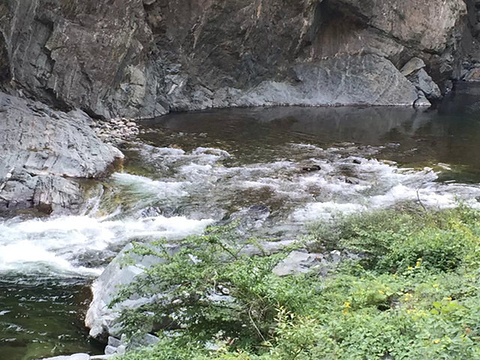 佛坪自然保护区旅游景点图片楚留香手游坐观万象攻略图片